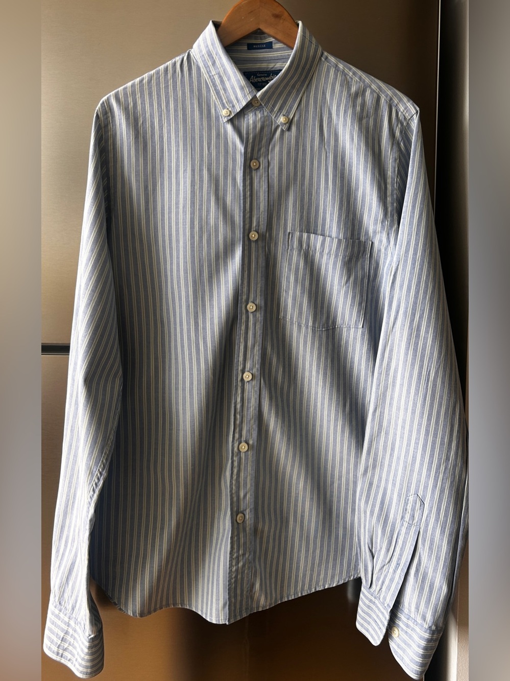 Vintage Abercrombie & Fitch XL Muscle Fit Striped Cotton Button Down Y2K